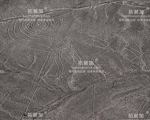 跨部门协作/执行力：纳斯卡团队巨画
