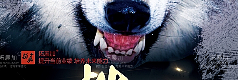拓展加